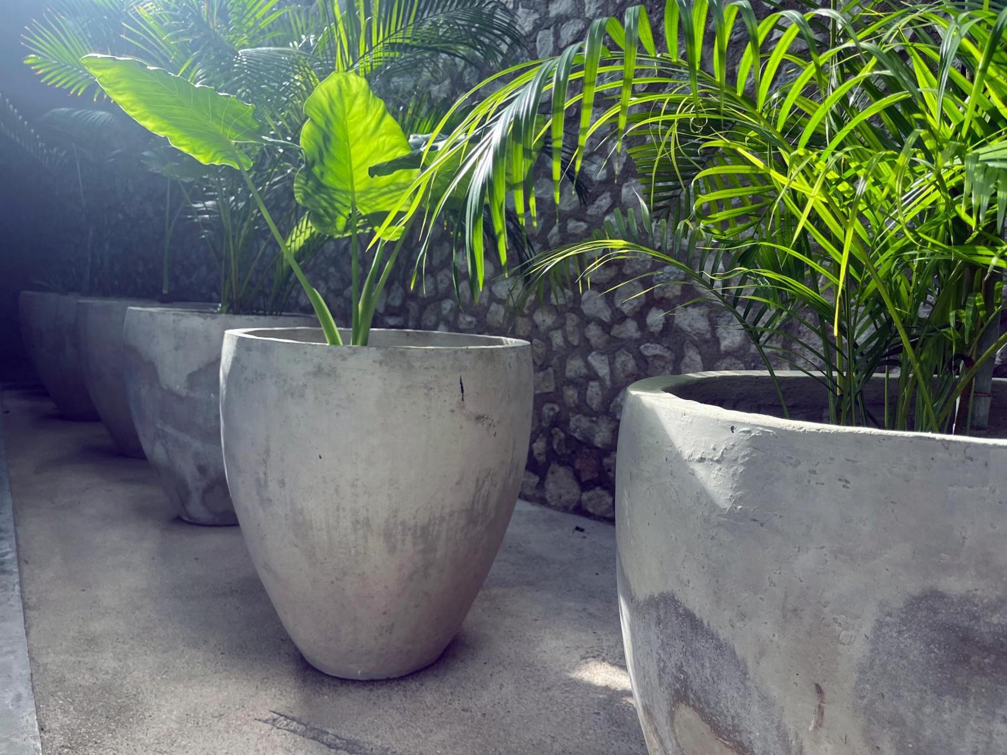 Hotel Bau Tulum Exterior foto
